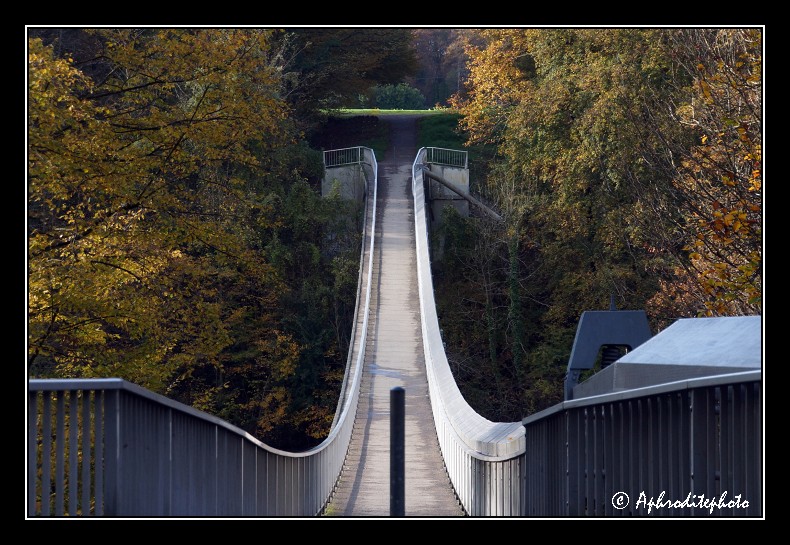 149 Passerelle du Lignon